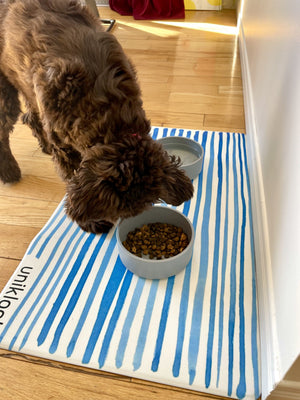 Vegan Leather Pet Mat vs Silicone Pet Mat — Which Is Best for Your Pet?
