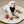 Load image into Gallery viewer, Black Dog Bandana Bib — Adjustable Snap Pet Bandana
