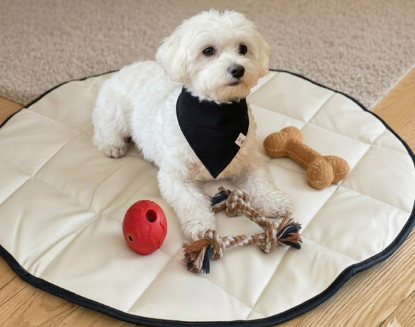 Black Dog Bandana Bib — Adjustable Snap Pet Bandana