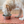 Load image into Gallery viewer, PET FOOD MAT | WILD
