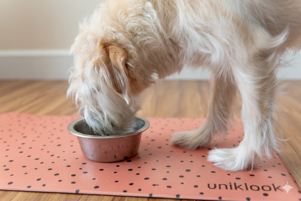 PET FOOD MAT | WILD