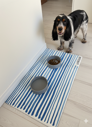 Dog standing on a blue and white striped mat with two bowls, in a home setting.