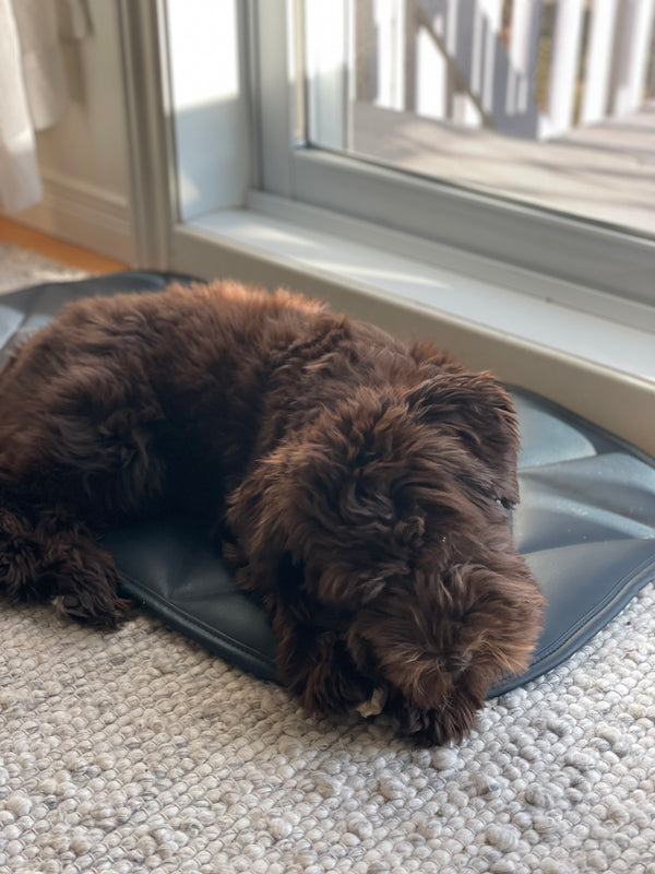 DOG TRAVEL BED | 16"x30" | Navy Blue