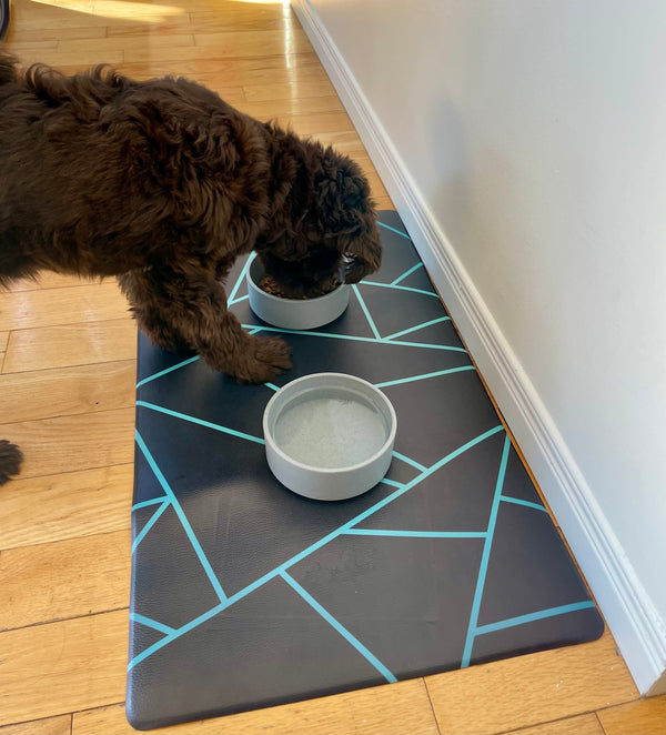 Waterproof Vegan Leather Pet Feeding Mat — Avant-Garde Teal | 28 x 16.5 in