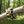 Load image into Gallery viewer, Three bracelets with pearls and chains on a branch in a forest setting
