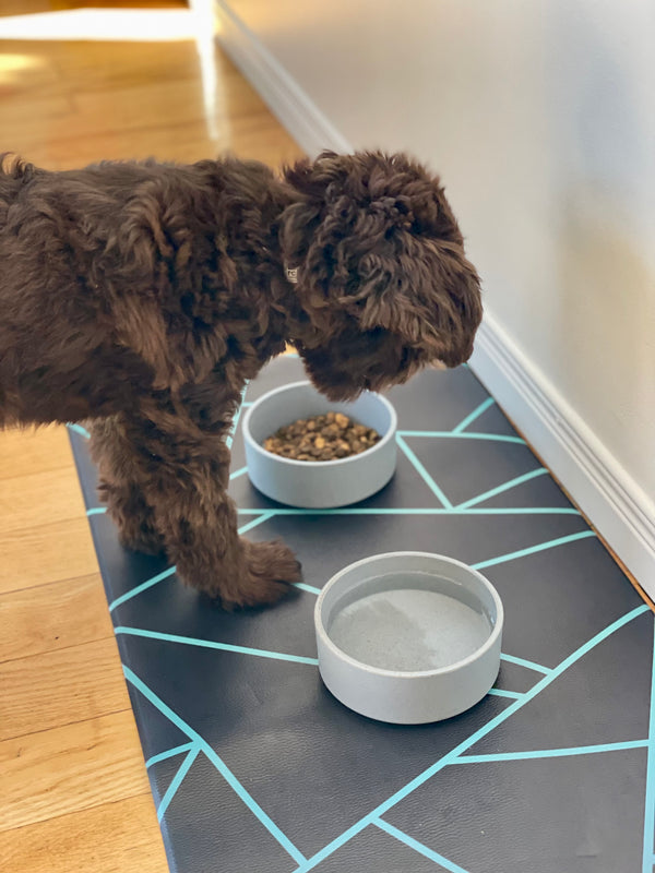 Waterproof Vegan Leather Pet Feeding Mat — Avant-Garde Teal | 28 x 16.5 in