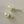 Load image into Gallery viewer, Beige Translucent Double-Sided Stud Earrings — 1 Inch
