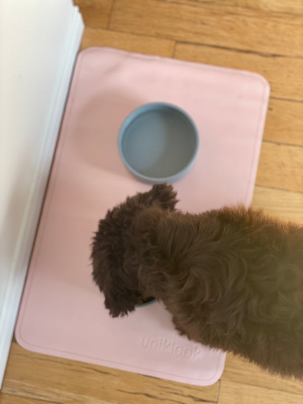 Waterproof Pet Food Mat — Pink | 22 x 14 in