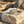 Load image into Gallery viewer, Gold ring with intricate design on a stone surface with sand and shells around
