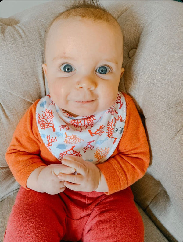 Organic Cotton Bandana Bibs — Endangered Species Print