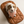 Load image into Gallery viewer, Dog wearing a pink bandana on a brown quilted mat with 'uniklook' branding.
