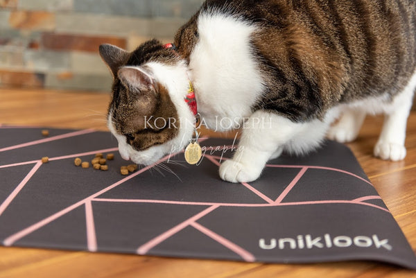 Waterproof Pet Feeding Mat — Avant-Garde Pink | 28 x 16.5 in