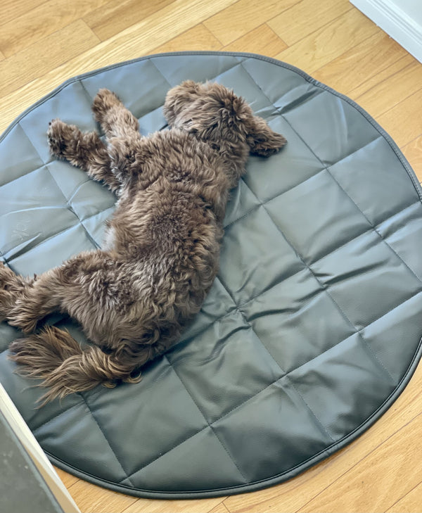 Dog lying on a round, quilted mat on a wooden floor