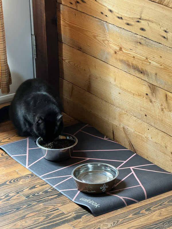 Waterproof Pet Feeding Mat — Avant-Garde Pink | 28 x 16.5 in