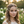 Load image into Gallery viewer, Boho Pearl Rhinestone Head Chain | Head Chain Jewelry.

