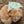 Load and play video in Gallery viewer, Mint Green Cactus Dog Bandana Bib — Adjustable Snaps
