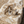 Load image into Gallery viewer, Silver crown-shaped ring on a piece of stone with sand around

