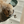 Load image into Gallery viewer, Vegan Leather Pet Food Mat — 22"x14" | Cream &amp; Terra
