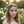 Load image into Gallery viewer, Boho Pearl Rhinestone Head Chain | Head Chain Jewelry.
